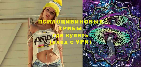 бошки Вязьма