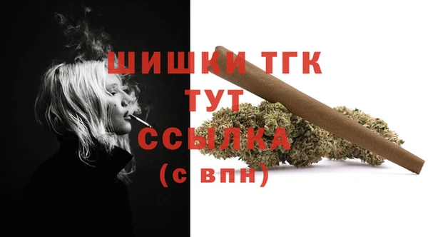 мдпв Вязники